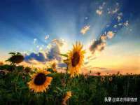 宁夏乐忆企业营销策划有限公司