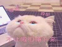 宁夏乐忆企业营销策划有限公司