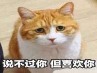 宁夏乐忆企业营销策划有限公司