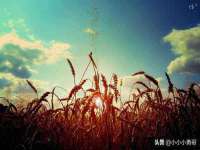 宁夏乐忆企业营销策划有限公司
