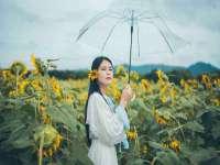 宁夏乐忆企业营销策划有限公司