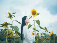 宁夏乐忆企业营销策划有限公司