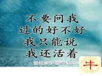 宁夏乐忆企业营销策划有限公司