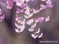 宁夏乐忆企业营销策划有限公司