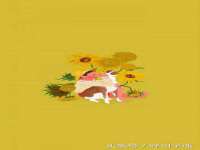 宁夏乐忆企业营销策划有限公司