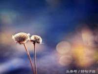 宁夏乐忆企业营销策划有限公司