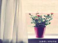 宁夏乐忆企业营销策划有限公司