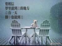 宁夏乐忆企业营销策划有限公司