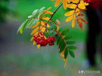 宁夏乐忆企业营销策划有限公司