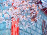 宁夏乐忆企业营销策划有限公司