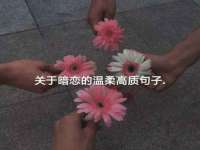 宁夏乐忆企业营销策划有限公司