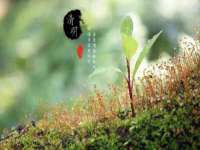 宁夏乐忆企业营销策划有限公司