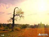 宁夏乐忆企业营销策划有限公司