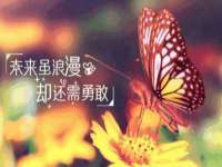 宁夏乐忆企业营销策划有限公司
