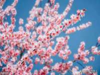 宁夏乐忆企业营销策划有限公司