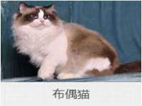 宁夏乐忆企业营销策划有限公司
