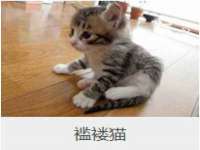 宁夏乐忆企业营销策划有限公司