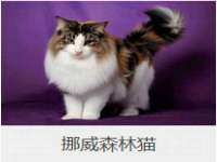 宁夏乐忆企业营销策划有限公司