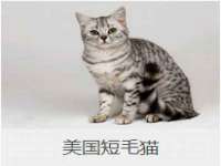 宁夏乐忆企业营销策划有限公司