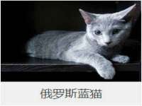 宁夏乐忆企业营销策划有限公司