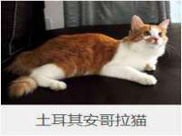 宁夏乐忆企业营销策划有限公司