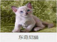 宁夏乐忆企业营销策划有限公司