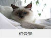 宁夏乐忆企业营销策划有限公司