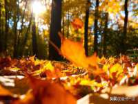 宁夏乐忆企业营销策划有限公司