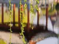 宁夏乐忆企业营销策划有限公司