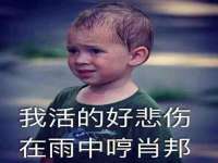 宁夏乐忆企业营销策划有限公司