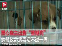 宁夏乐忆企业营销策划有限公司