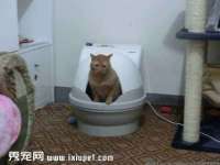 宁夏乐忆企业营销策划有限公司