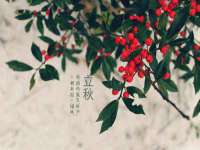 宁夏乐忆企业营销策划有限公司