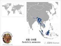 宁夏乐忆企业营销策划有限公司