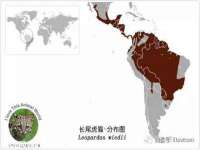 宁夏乐忆企业营销策划有限公司