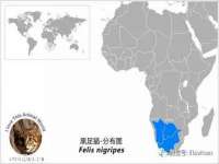 宁夏乐忆企业营销策划有限公司