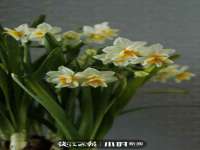 宁夏乐忆企业营销策划有限公司