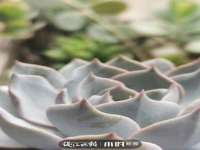 宁夏乐忆企业营销策划有限公司