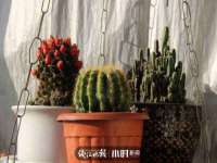 宁夏乐忆企业营销策划有限公司