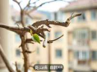 宁夏乐忆企业营销策划有限公司