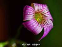 宁夏乐忆企业营销策划有限公司