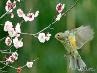 宁夏乐忆企业营销策划有限公司