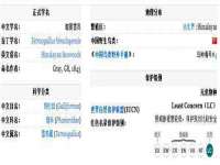 宁夏乐忆企业营销策划有限公司