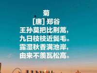 宁夏乐忆企业营销策划有限公司