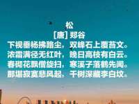 宁夏乐忆企业营销策划有限公司