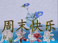 宁夏乐忆企业营销策划有限公司
