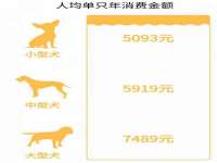 宁夏乐忆企业营销策划有限公司