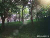 宁夏乐忆企业营销策划有限公司
