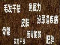 宁夏乐忆企业营销策划有限公司