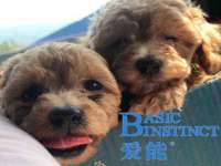 宁夏乐忆企业营销策划有限公司